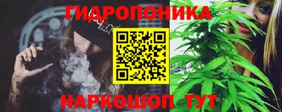 альфа пвп Аргун