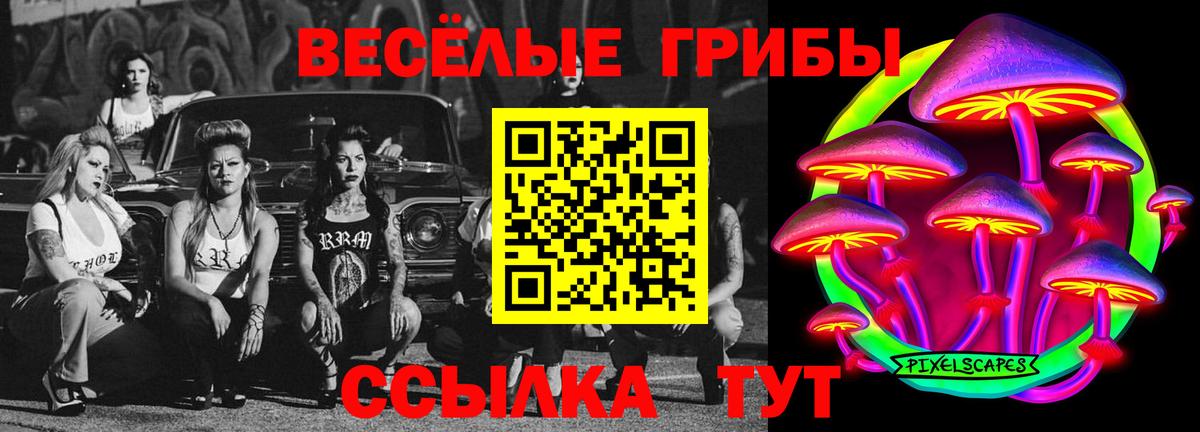 Верхняя Пышма  Галлюциногенные грибы Magic Shrooms  закладка  Вход с VPN 